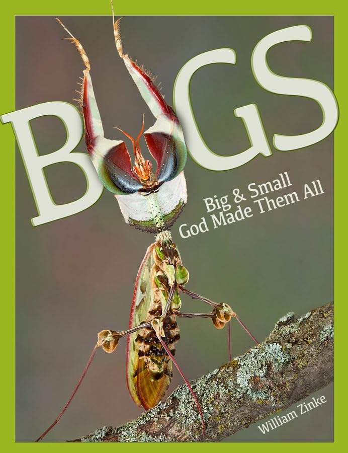Bugs Big & Small God Made Them All