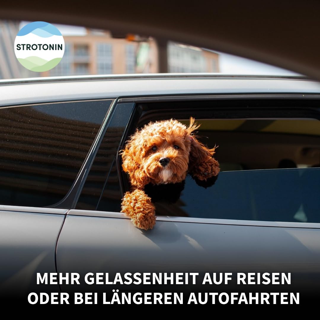 Dog Support para el estrés, la ansiedad y la inquietud (80 dosis individuales)
