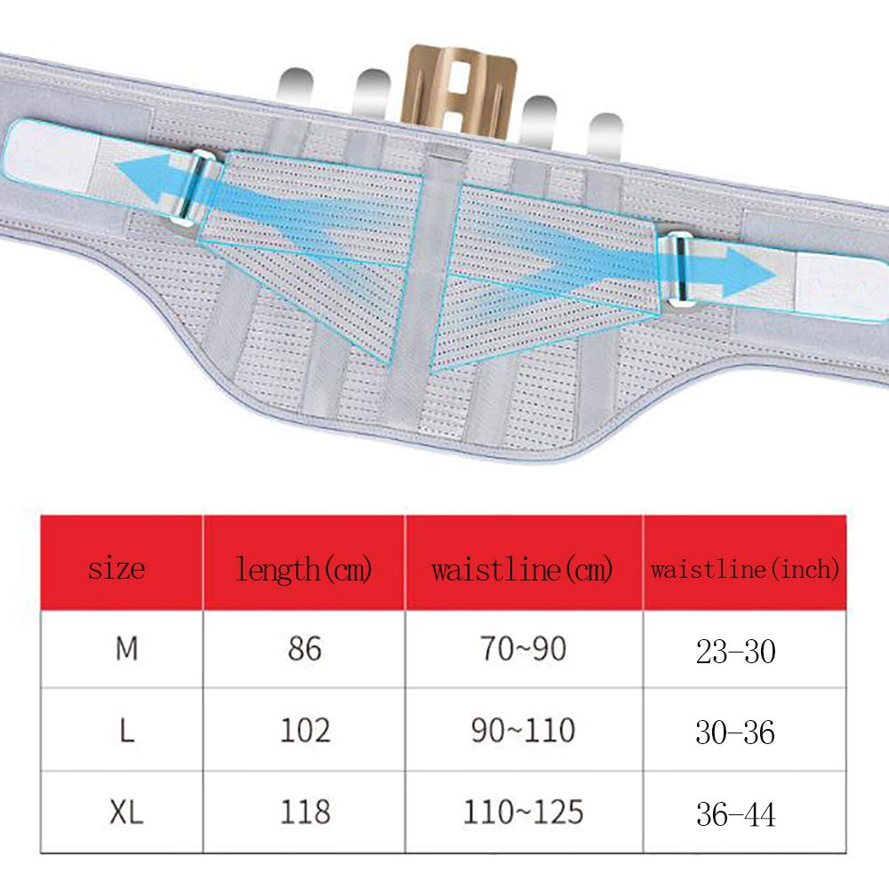 Faja Lumbar Fitness - Entrenador Abdominal - Tratamiento de la tensión Muscular Lumbar - con Almohadilla Lumbar extraíble - Terapia magnética médica,L