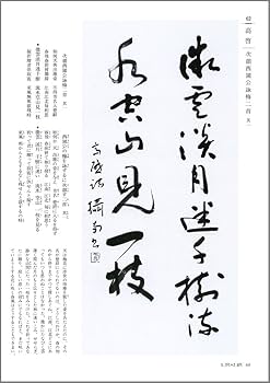 詩歌書例一〇〇選 10冊セット 詩歌書例100選〈全10巻〉 - 株式会社二玄社