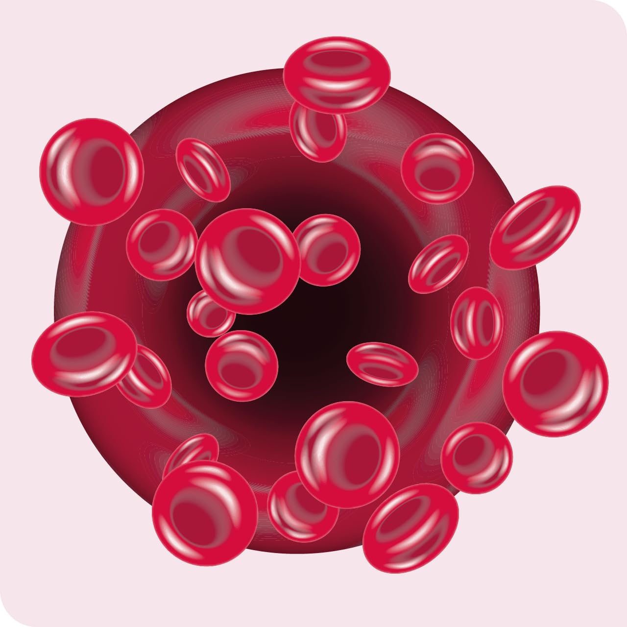 lipoLoges - 180 Kapseln - Für gesunde Cholesterin*- und Blutfettwerte**