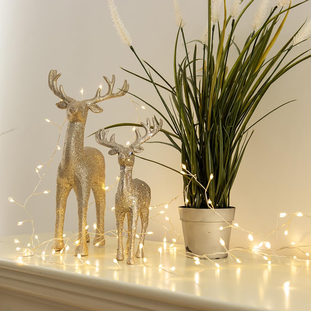Guirlande Lumineuse de 10 m Type Pétard avec 300 LED Blanc Chaud, Prise Secteur, Fil d'Argent en Grappes pour Intérieur avec Télécommande, pour Sapin de Noël, Plantes, Chambre, Jardin