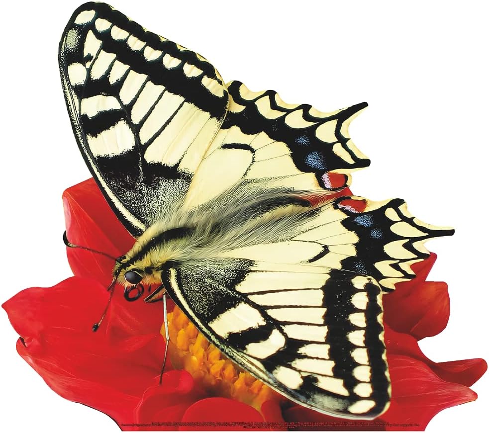 SP12645 Butterfly Old World Swallowtail on Flower Cardboard Cutout Standee Standup