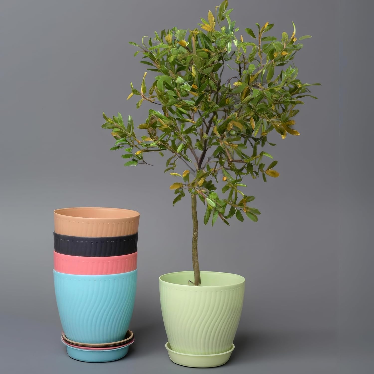SHISWA KITCHENWARE Multicolour Plastic Round Flower Pots | Durable and Lightweight Planters for Home Balcony | Terrace | and Indoor Gardens | Set of 5 Flower Pots for Various Plants (B0DDBV7JHJ) Amazon Price History, Amazon Price Tracker