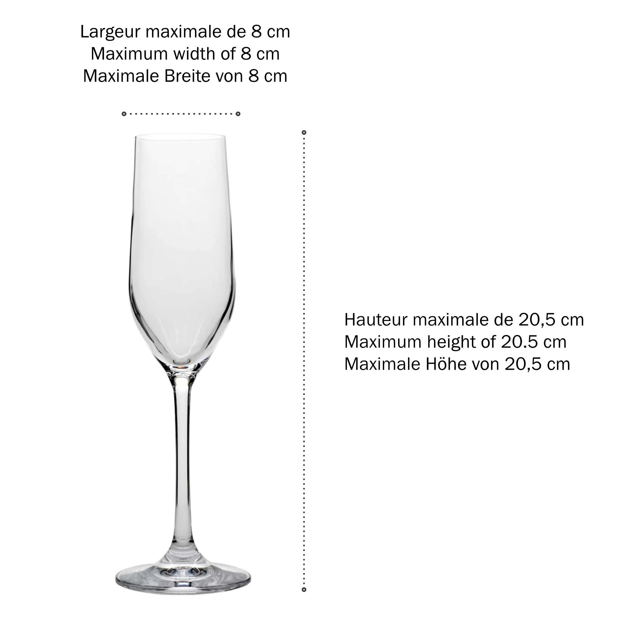 SUNDIS Champ Store, 2er-set Aufbewahrungsboxen für Gläser mit Deckel | Robust, transparent, Fassungsvermögen 12 Gläser, max. Durchmesser 8 cm, max. Höhe 20,5 cm, mit clips, stapelbar