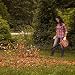 Soplador Electrico - GOXAWEE 600W Soplador Aspirador/Soplador de Aire de Velocidad Variable/Mini...