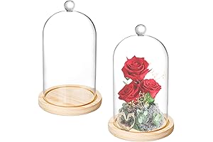 La Cupula Glass Cloche - 8" x 5"