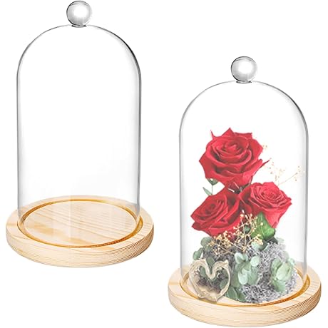 La Cupula Glass Cloche - 8" x 5"