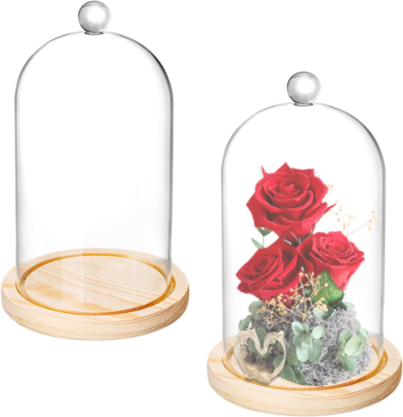Lyellfe 2 Pack 8x5 Inch Glass Cloche Dome with Rustic Wooden Base - Bell Jar Display for Plants, Succulents, Fairy Lights & Home Decor