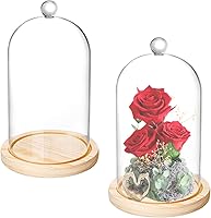Lyellfe 2 Pack 8x5 Inch Glass Cloche Dome with Rustic Wooden Base - Bell Jar Display for Plants, Succulents, Fairy Lights & Home Decor
