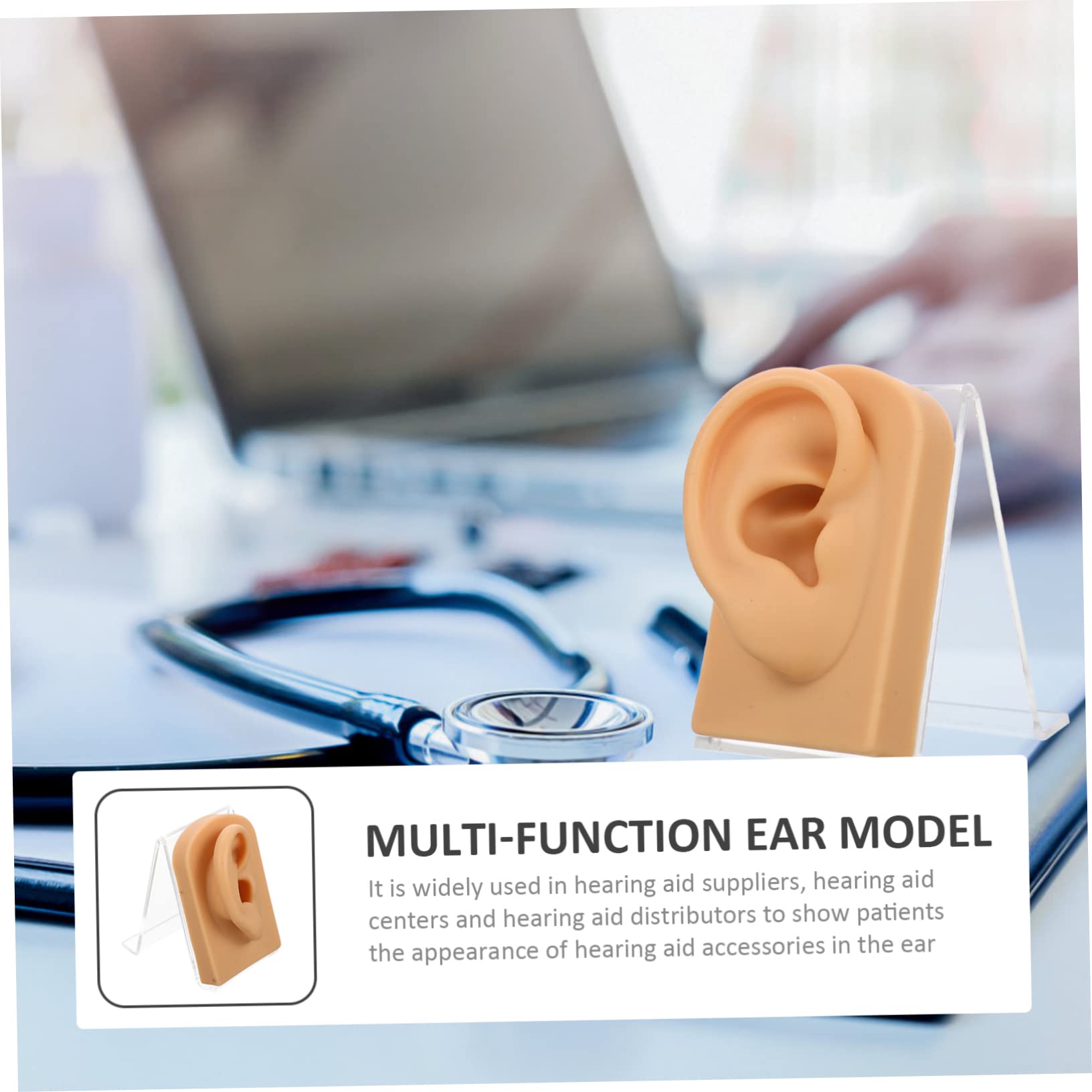 minkissy 2sätze Multifunktionaler Ohrmodell Für Ohrringe Dekorative Aufbewahrung Für Piercing-übungen Und Schmuckpräsentation Inklusive Acrylständer Langlebig Und Stabil