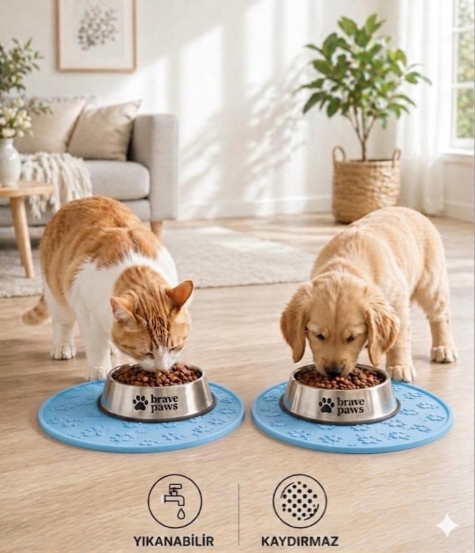 Silikon Mama Matı Kedi & Köpek İçin | Kaymaz, Yıkanabilir, Havuzlu Mama Altlığı (Mavi)