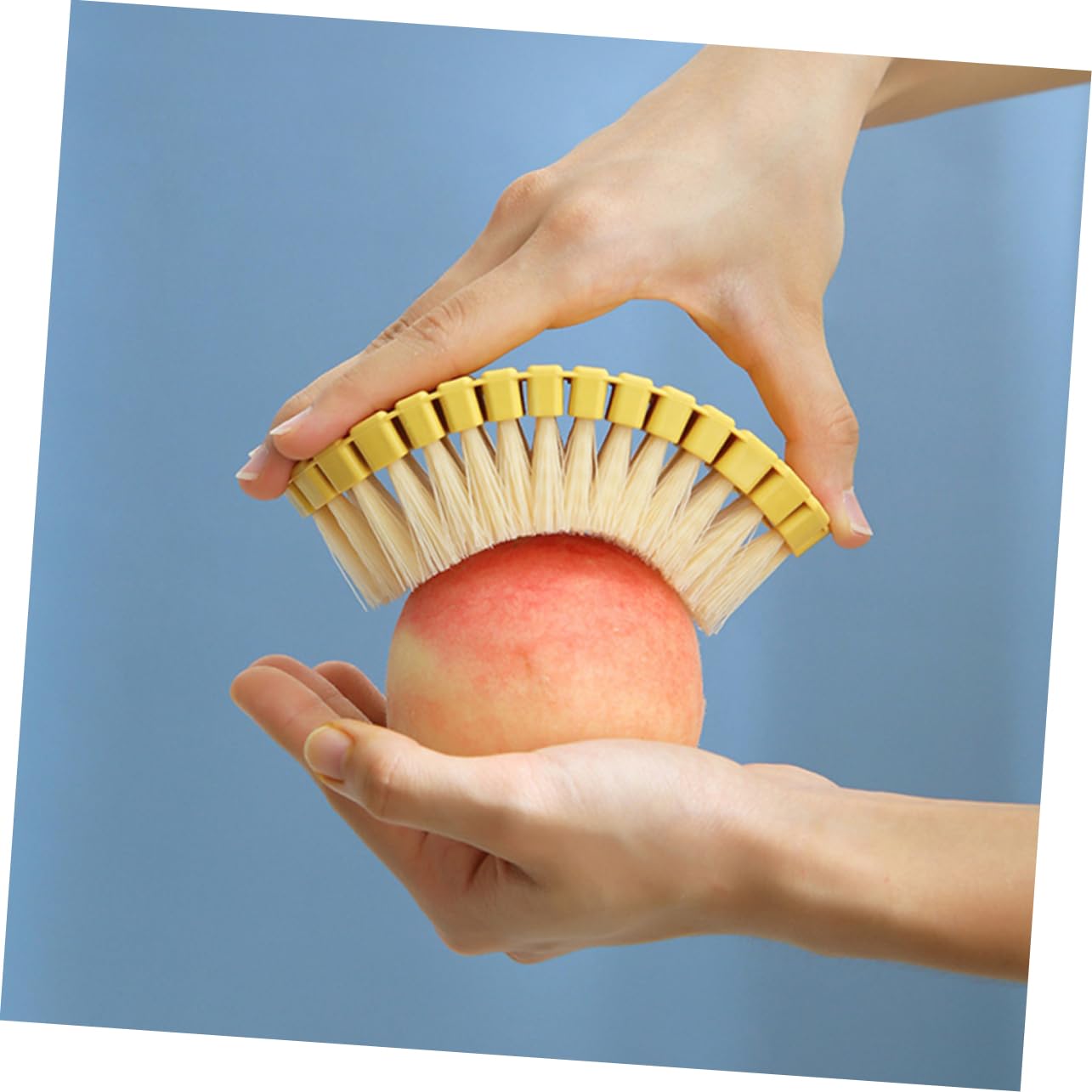 Zerodeko 5 Set Pennello Per La Pulizia Del Domestico Setola Macchia Microfibra Scrubber Piccola Spazzola Per La Pulizia Spazzola Per Vestiti Spazzola Manuale Plastica 2 Pezzi * 5