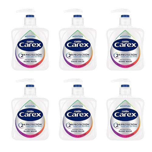 Carex 2 Hour Protection Antibacterial Moisture Hand Wash, Boosted Moisturising Action, Added Vitamin E for Soft Hands, Bulk Buy, Pack of 6 x 250ml - Moisture