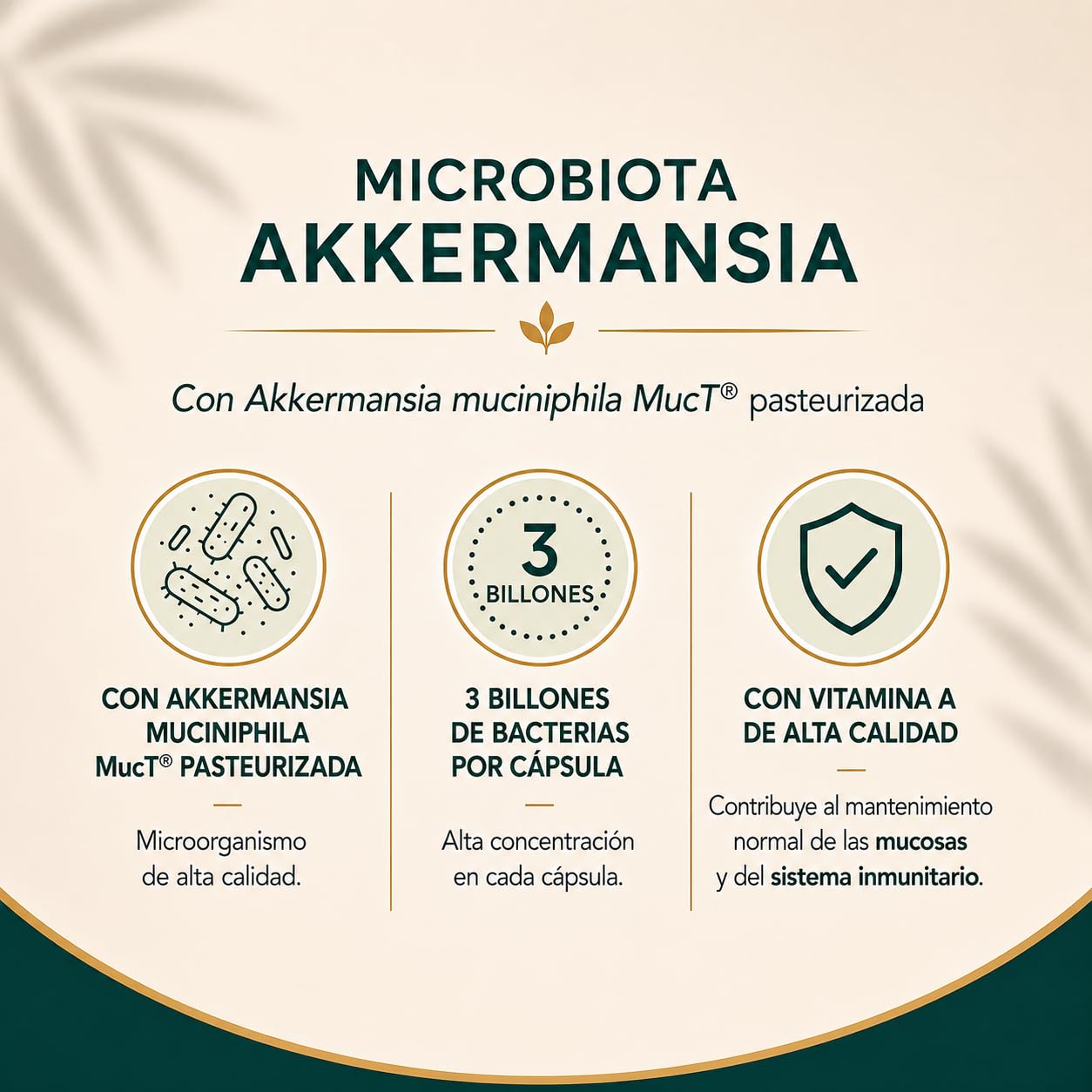 Microbiota Akkermansia 30 Cápsulas | Barrera Intestinal y Sistema Inmunitario | Con Vitamina A | Equisalud