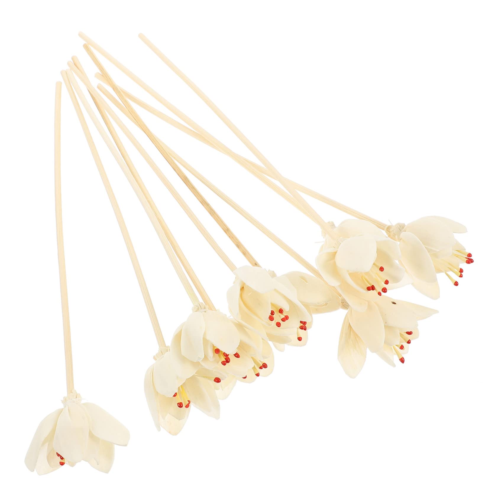 BESTOYARD 40stücke Duftdiffusor-Sticks Aus Trockenblumen Für Ätherische Öle Raumdekoration Für Schlafzimmer Wohnzimmer Und Wellnessbereiche Entspannende Aromatherapie Zubehör
