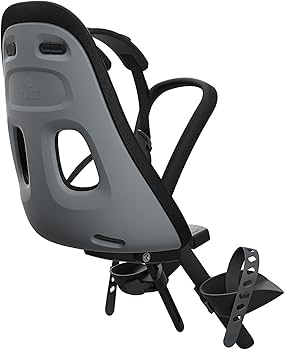 Amazon.com : Thule Yepp Nexxt Mini Child Bike Seat, Monument