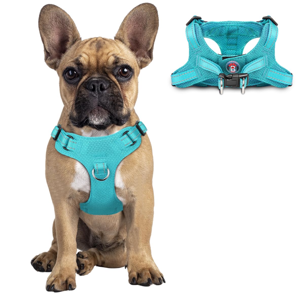 Dog Harness Step in Dog Vest Harness, Reflective Adjustable Puppy No Pull Harness Breathable Soft for Small and Medium Dogs Cats, Ocean Blue, S