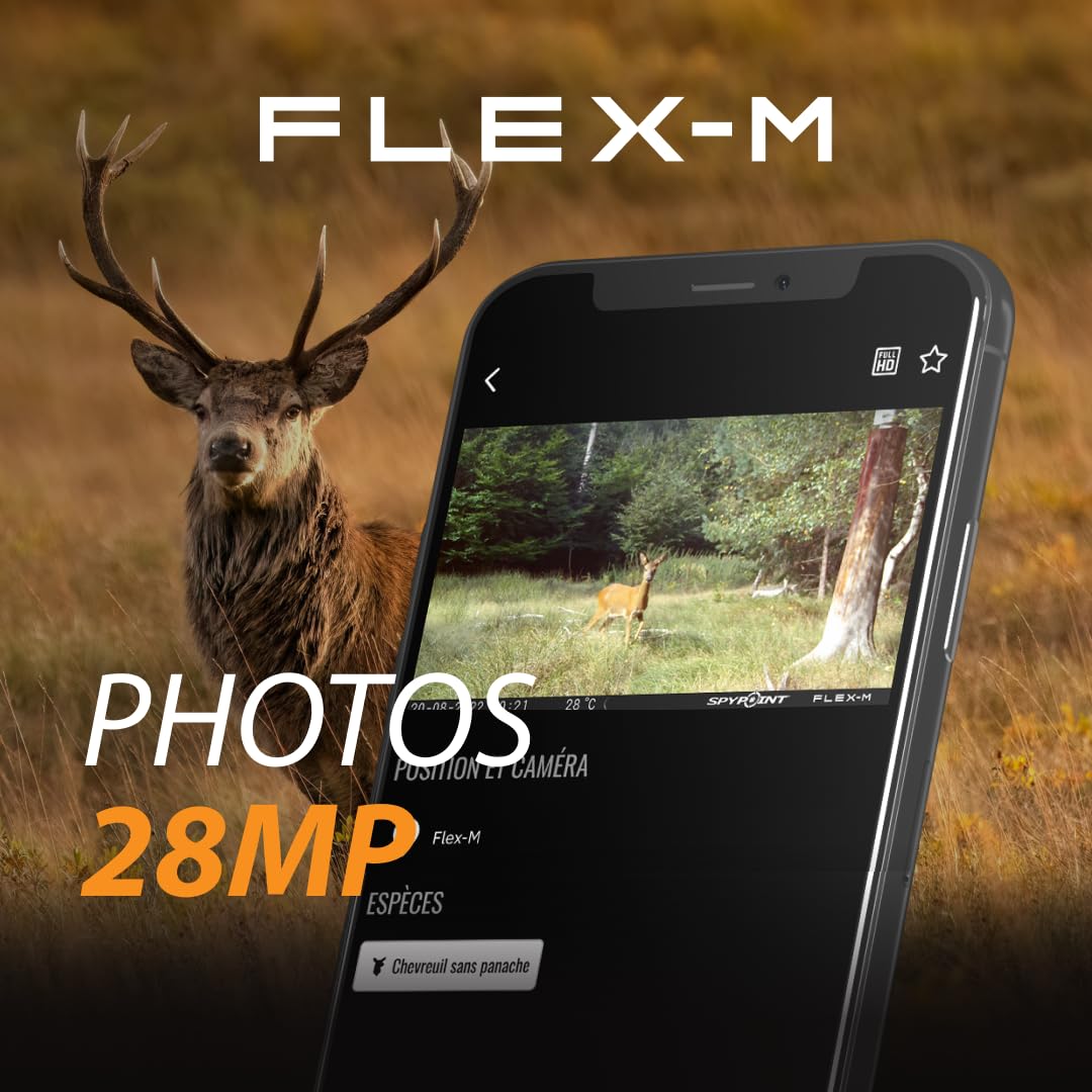 Spypoint Flex-M - Wildkamera mit Foto- & Videoübertragung, 28 Megapixel, Wildtierkamera mit Nachtsicht, kostenlose App für Ihr Smartphone