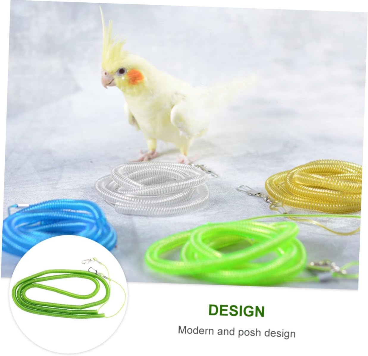 YARNOW Elastic Parrot Leash Training Rope Bird Harness for Parrots Cockatiels and Birds Chew Resistant for Safe Outdoor Exercise Random Color