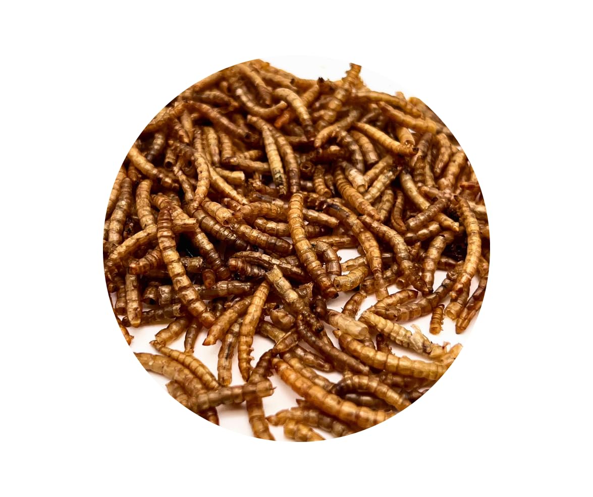 Warnick's Naturhäppchen Mehlwürmer getrocknet - 5 kg