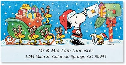 Colorful Images Christmas Special Delivery Peanuts Return Address Mailing Labels,Personalize with Name & Shipping Address, Set of 144 Self Adhesive,Easy Peel Flat Sticker Label Sheets,Large,1 Design