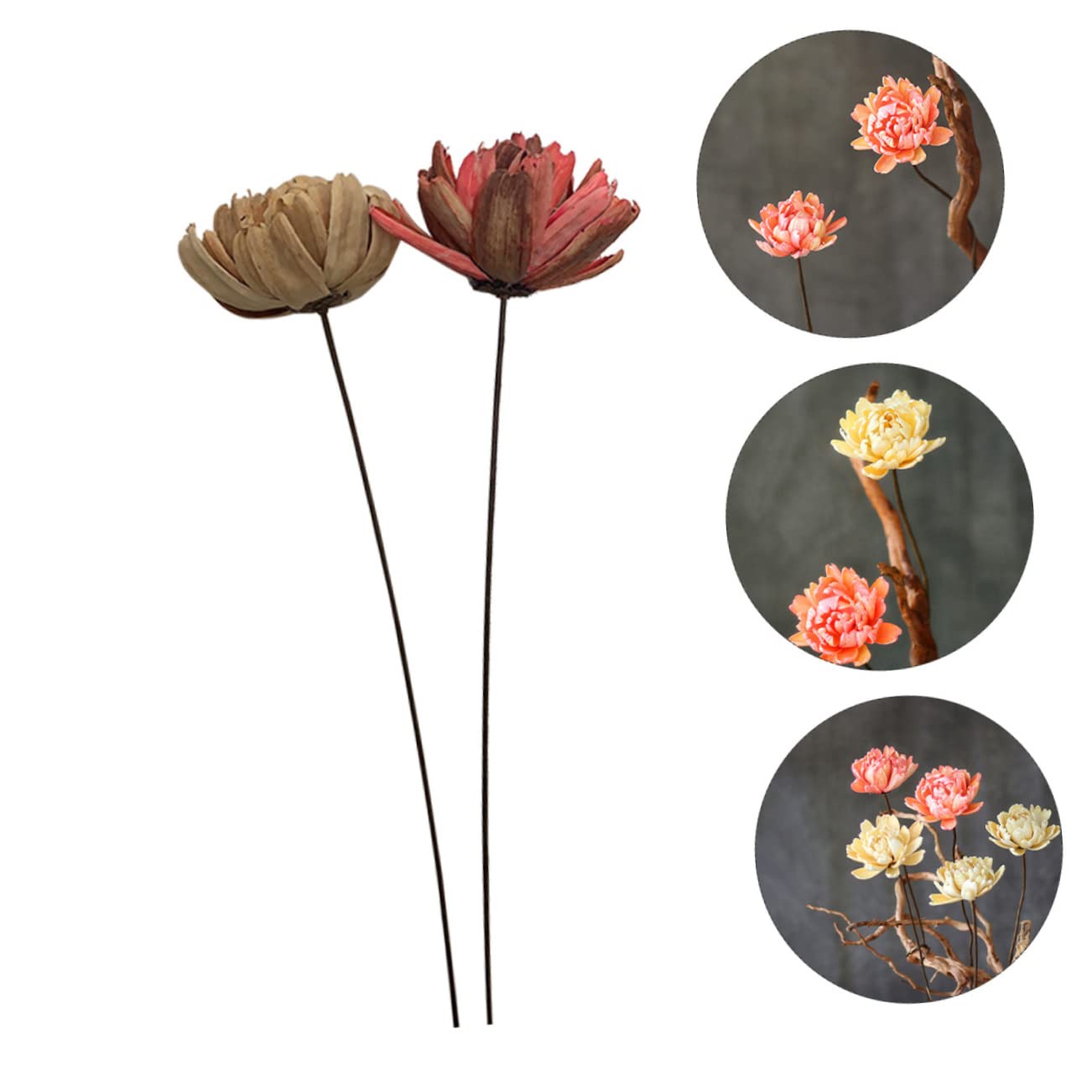 Alipis 6piezas Ramo De Flores Secas Adorno Floral Natural para Decoración De Hogar y Bodas Accesorio para Fiestas y Celebraciones Sin Mantenimiento y Larga Duración