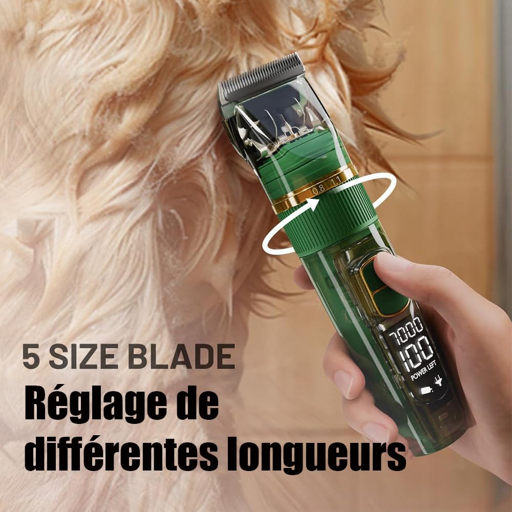 Tondeuse Professionnelle pour Chien et Chat, avec Écran LED, 4 Peignes de Limite, 3 Vitesses, Étanche IPX7 - pour Poils Longs et Noeud (Vert)