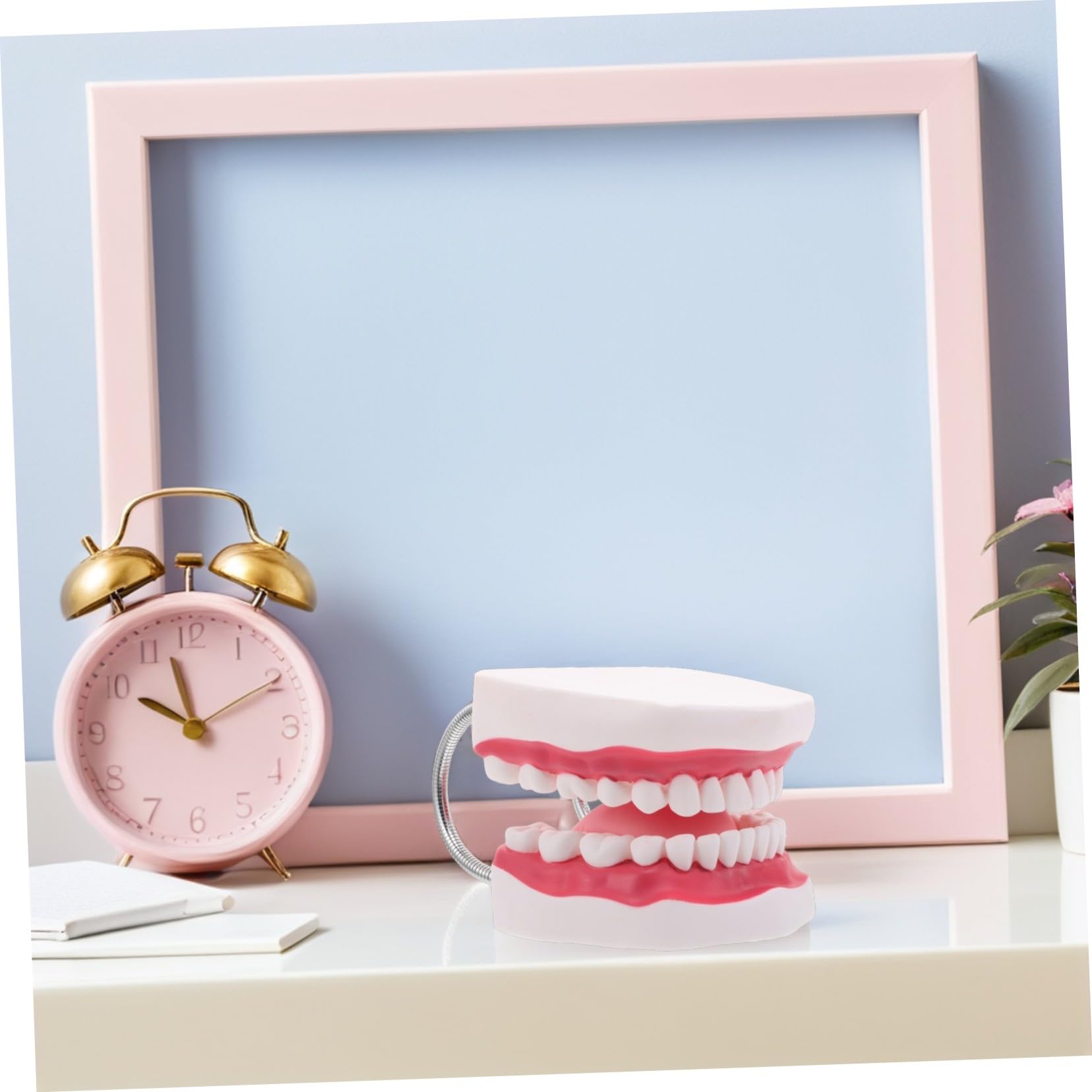 Modello Di Protesi Dentaria Ortodontica Modelli Di Denti Per Istruzione Denti e Bocca Finti Realistici Per Pratica Odontoiatrica e Preparazione All Esame Dentistico