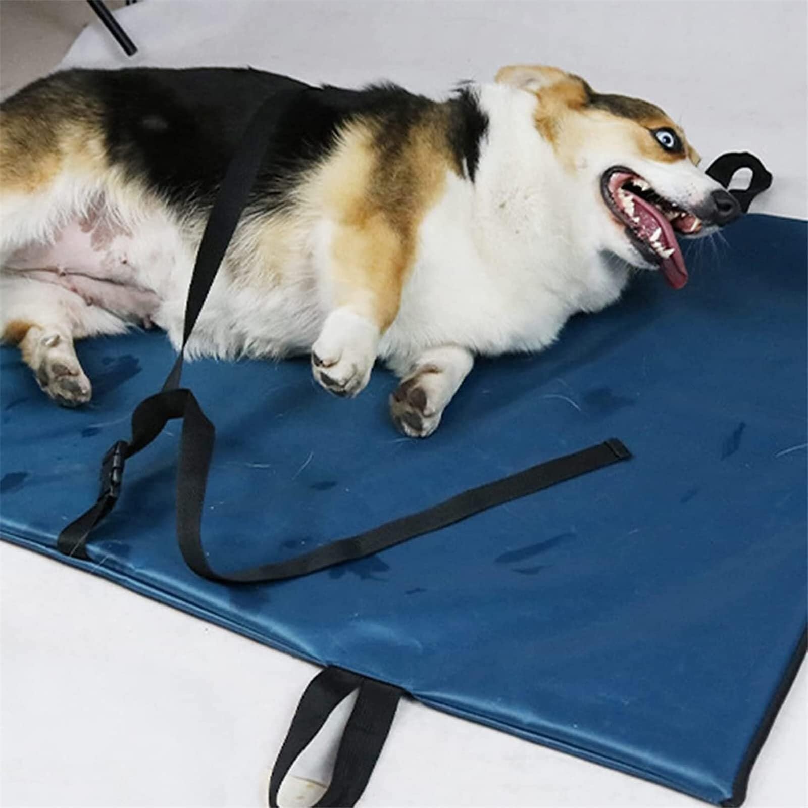 Barella for animali domestici, barella da trasporto pieghevole for cani e altri animali, barella for cani, trasporto di emergenza for animali con cinghia di sicurezza regolabile