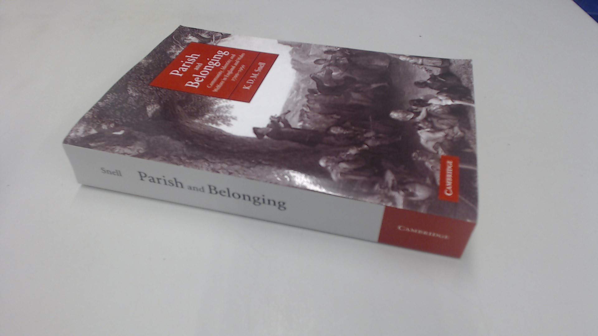 Parish and Belonging: Community, Identity and Welfare in England and Wales, 1700-1950