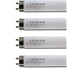 4Pack 18inch F15T8-CW 15W Cool White Fluorescent Light Bulb, 4100K Straight Tube lamp,G13 Medium bi-pin Cap,17inch exclude pins
