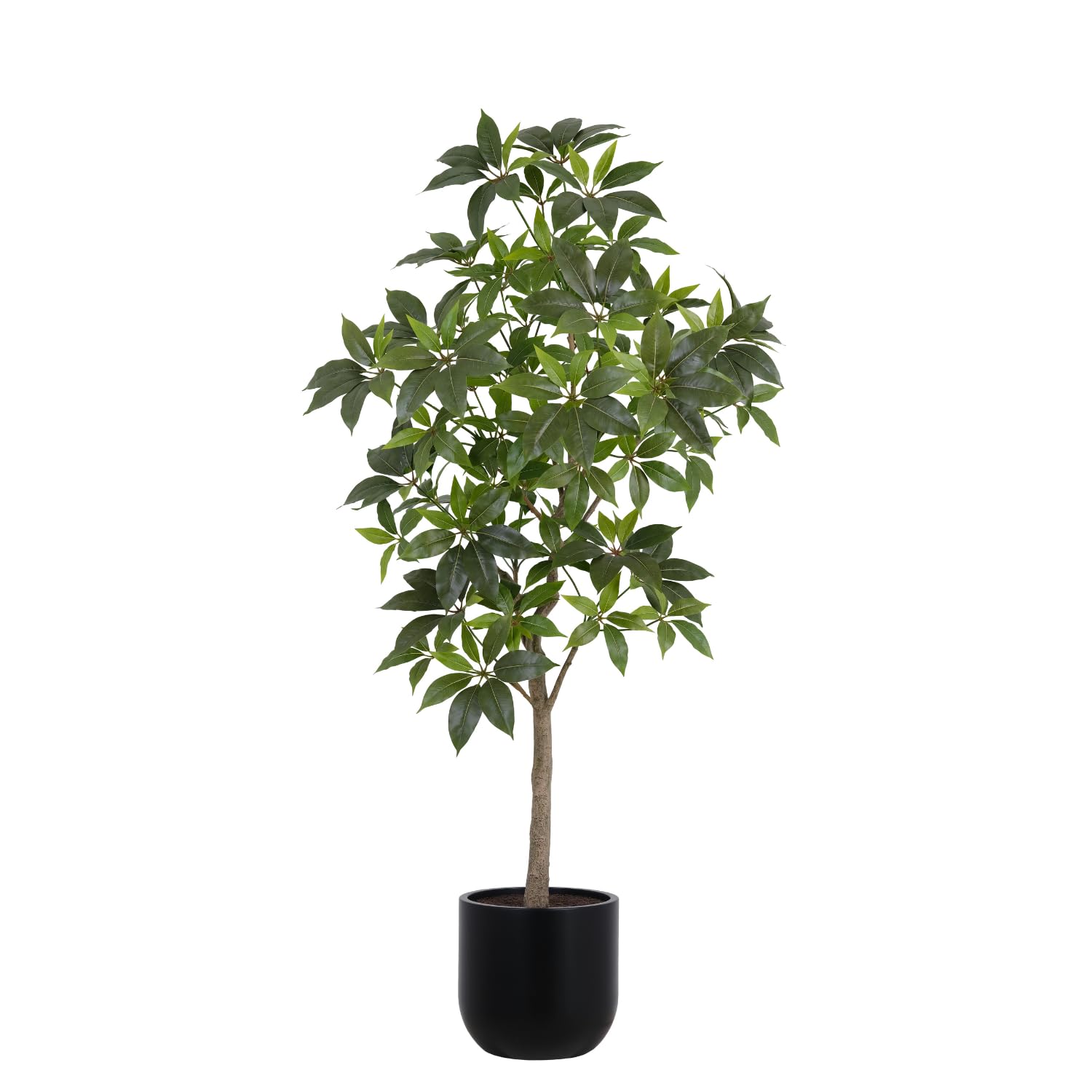 CG Hunter Faux Money Tree