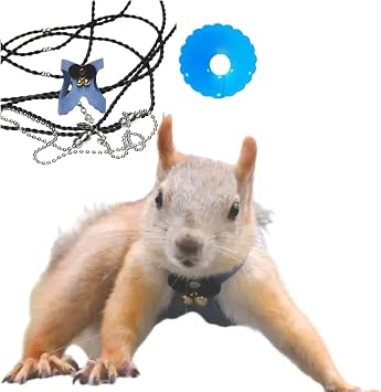 Squirrel Traction Rope Strap Anti-Biting Chain Rope, Adjustable Vest, Small Animal Walking Harness with Lead Leash with Free Collar for Hamster Gerbil Rat Mouse Ferret Chinchilla Blue