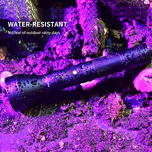 Peetpen Black Light Flashlight Usb Rechargeable 395Nm Uv Led Blacklight Ultraviolet Waterproof Flashlights Detector For Pets Dog Urine And Stains With Battery #TOP6
