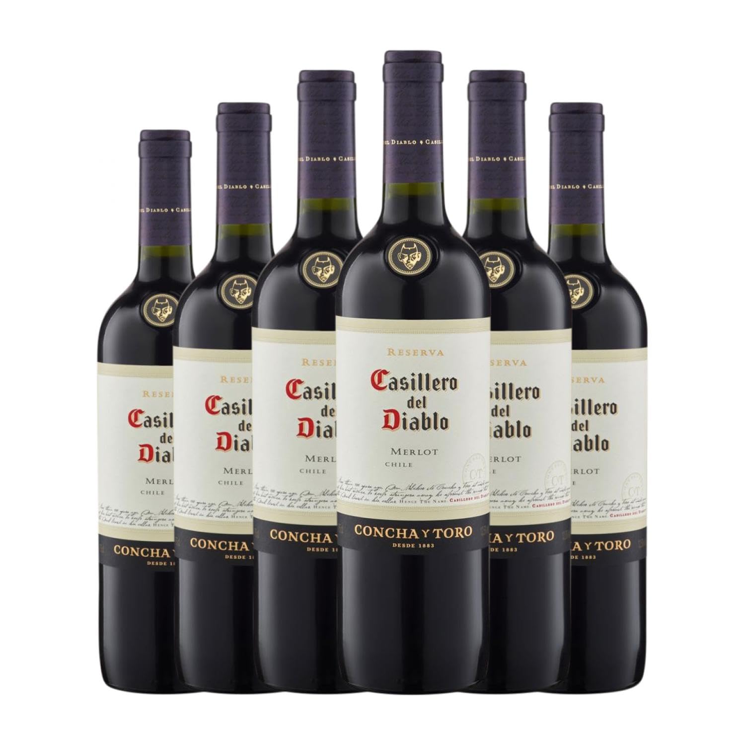 Concha y Toro Casillero del Diablo Merlot Valle de Rapel 75 cl Vino tinto (Caja de 6 Botellas de 75 cl)
