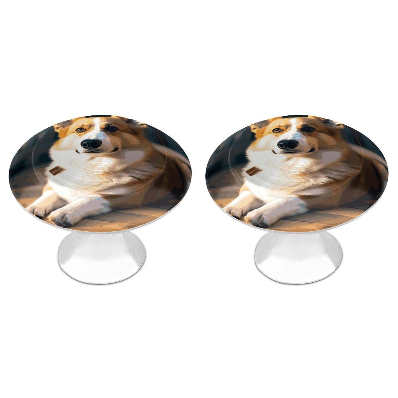 FekiLoot Smart Corgi Cabinet Knob 2 Pack Mini Round Drawer Pulls Stainless Steel Dresser Drawer Knobs Kitchen Drawer Hardware for Bathroom Dresser Closet Door Knobs