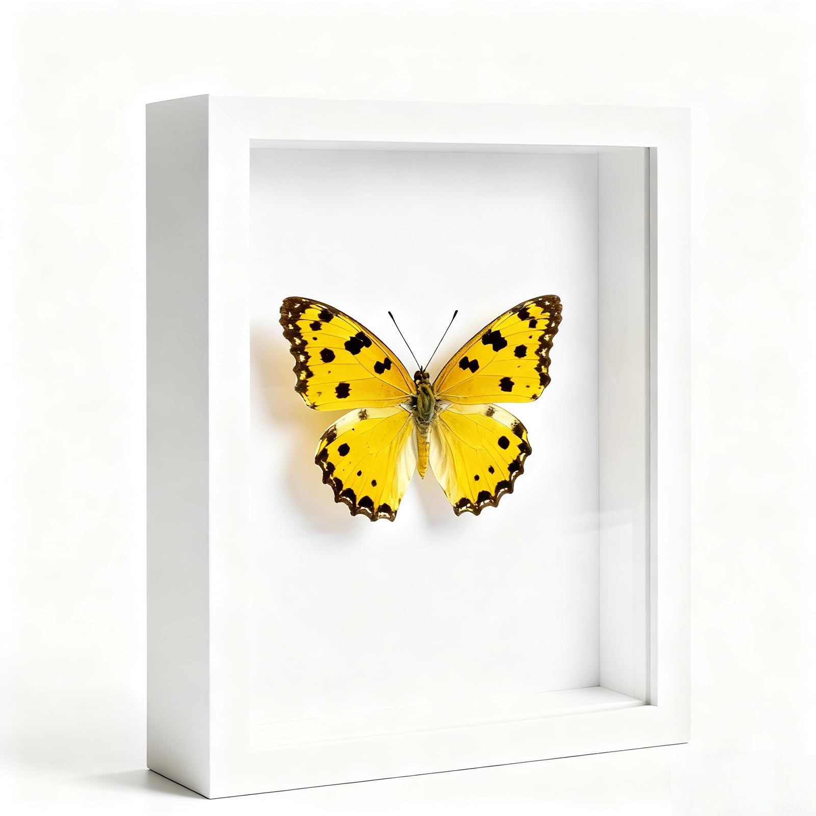 Wenya White 6X8 Shadow Box Frame, 17X22.1cm 3D Photo Frame, Memory Box Frame For Memorabilia, Photos, Awards, Medals And Crafts (, 6X8-Hollow 3Cm)