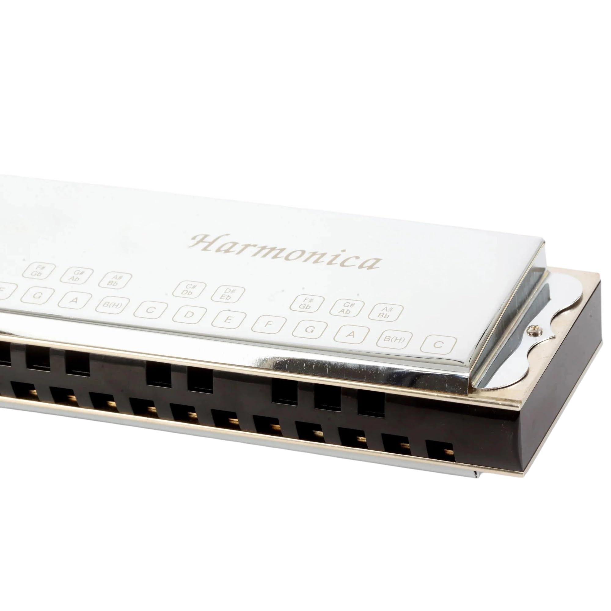 Harmonijka Harmonijka Basowa