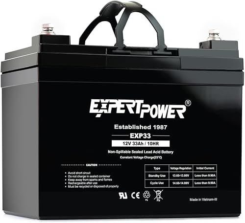Pilas Expertpower 12V
