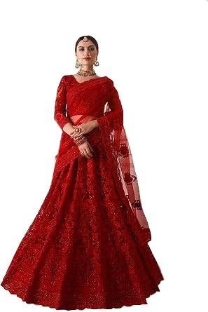 REd Indian Bridal Net Embellished Cut 
