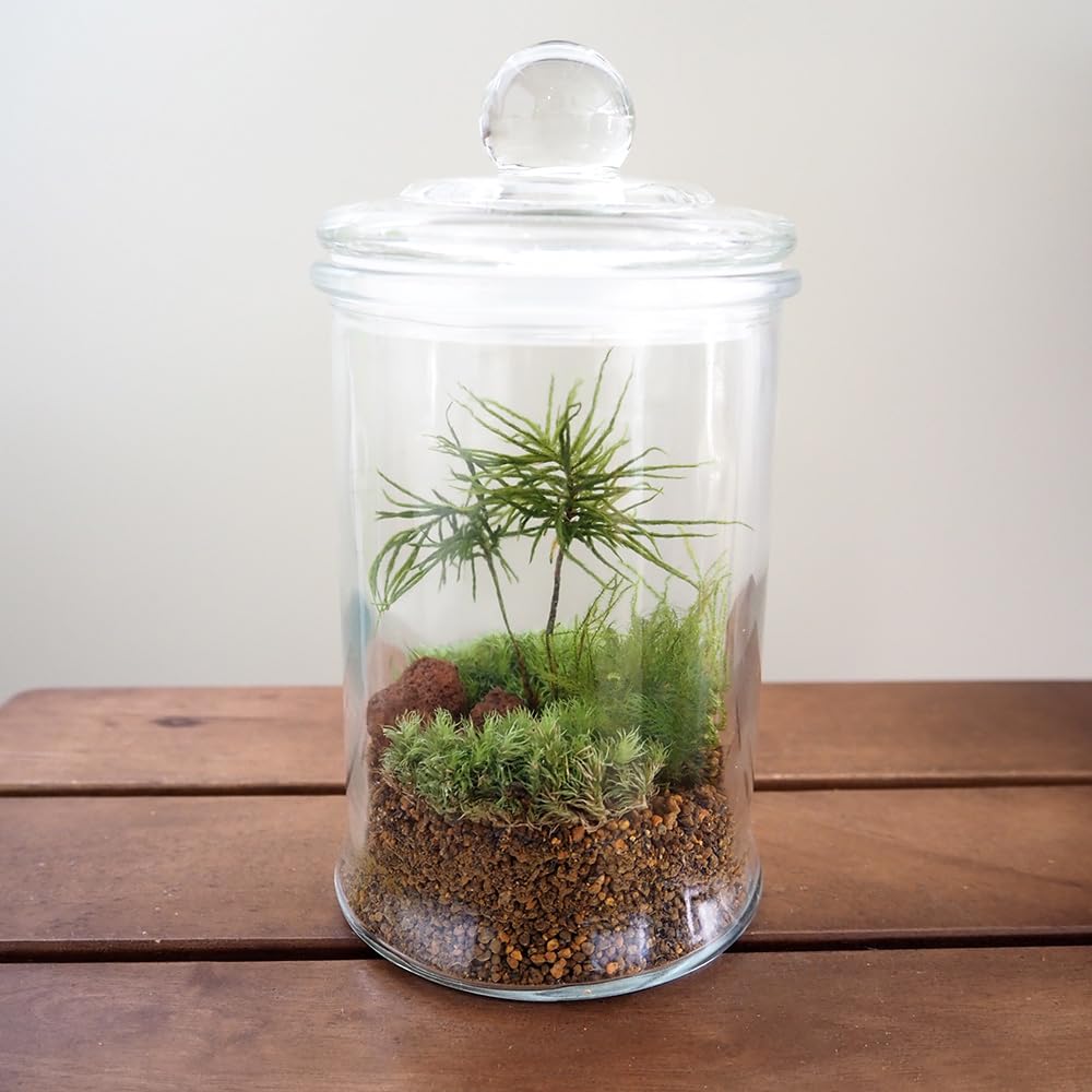 ＩＴＡＮＳＥ 円柱