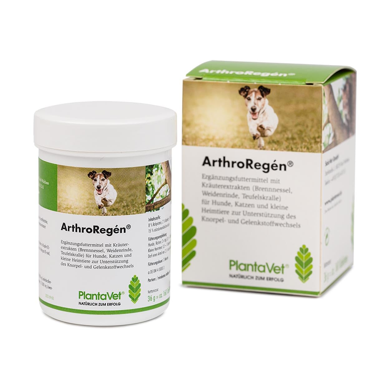 Arthroregen 36g