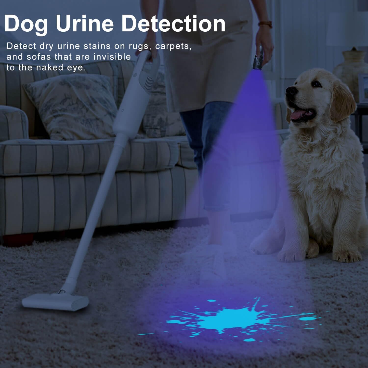 UV Blacklight Flashlight - 365nm and 395nm Black Light for UV Glue Curing, Urine Stain Detection, Anti-counterfeiting, and More - Compact Handheld Ultraviolet Torch Wood's Lamp