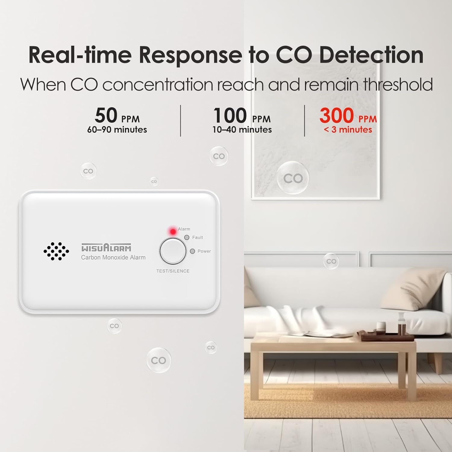 Diagram showing CO concentration levels and corresponding alarm response times: 50 PPM (60-90 minutes), 100 PPM (10-40 minutes), and 300 PPM (<3 minutes).