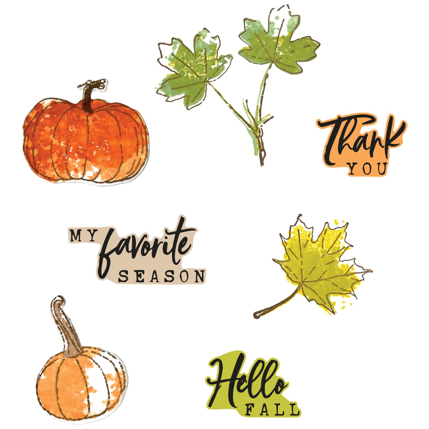 Sizzix A5 Clear Stamps w/Framelits Die Pencil Line Harvest by 49 and Market, CLEAR/SILVER