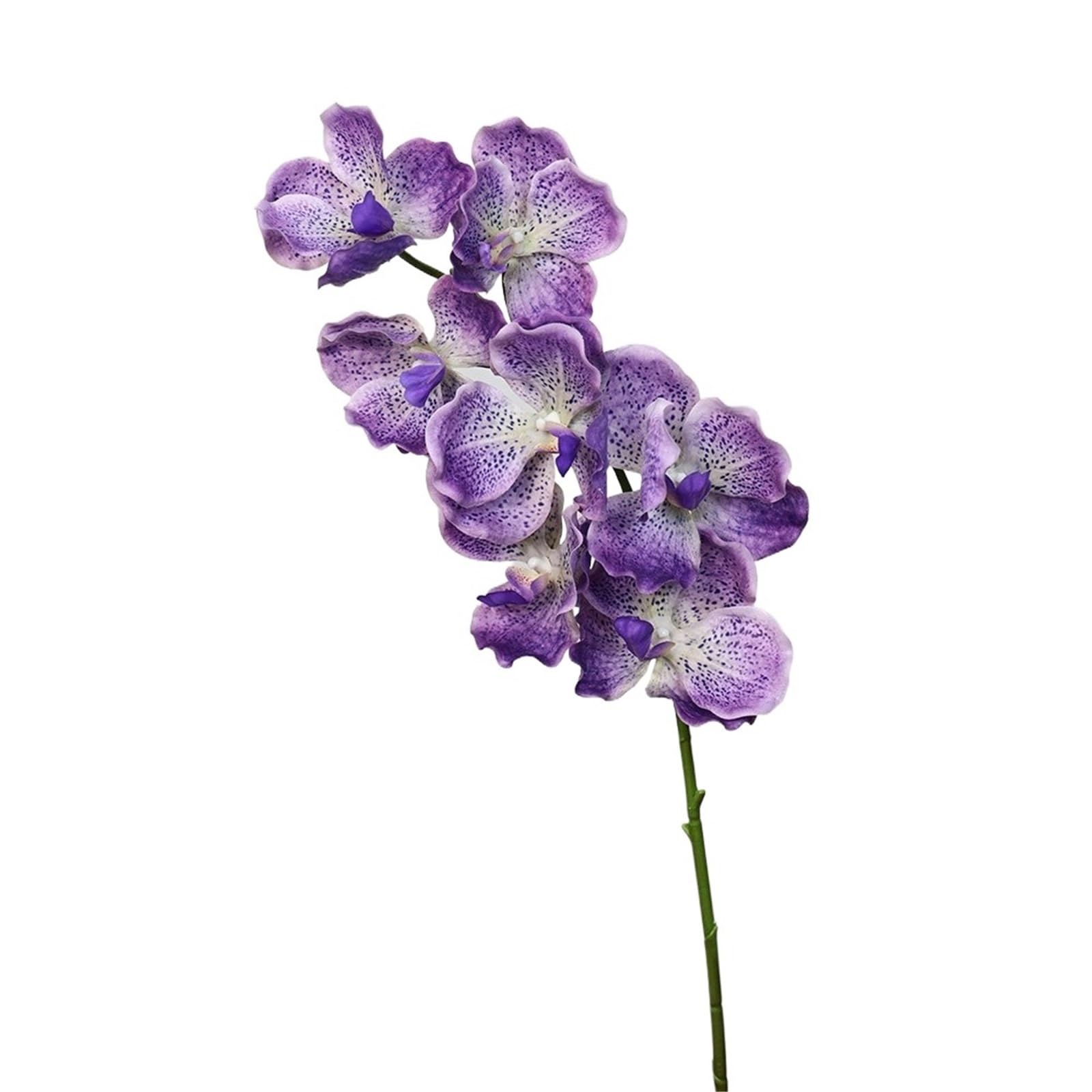 LSYHHXC Artificial Orchid 80 CM Artificial Vanda Orchid Moisturizing Phalaenopsis Branch Large Flower Realistic Real Touch Orchids