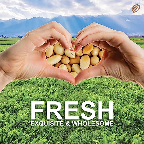Image of SHREGO Roasted Unsalted Peanuts, Vacuum Packed 1Kg [HoReCa Value Pack | Grade A Peanuts | Roasted NOT Fried | Rich in Protein & Fibre | Groundnut | Healthy Snack | Singdana | Skin Removed | Fresh | No Artificial Flavour ] (UNSALTED, 1 KG)