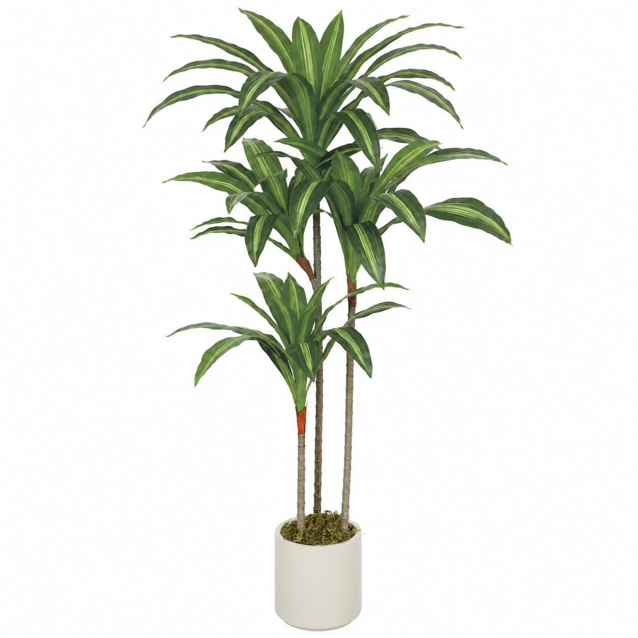 HOMCOM Pianta Artificiale di Dracena Rami Orientabili 60x40x120 cm | Vaso Contenitore Bianco in PP e Cemento, Pianta Verde PEVA e Legno, per Interno, Esterno, Ufficio