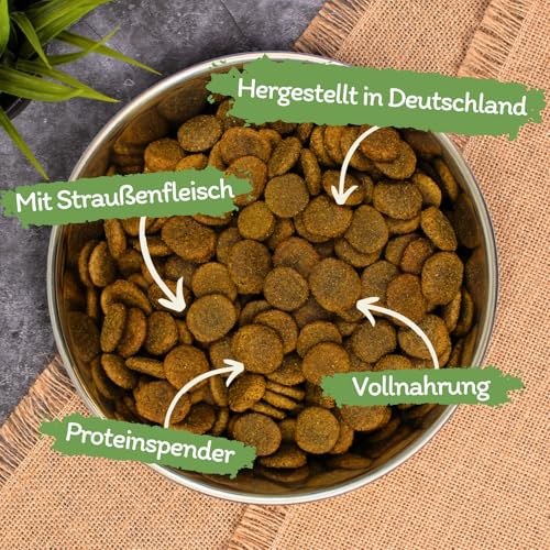 Lecker.Pet® | 12 kg Luna's Strauß mit Kartoffel & Apfel Hunde Trockenfutter Vollnahrung | Getreidefreie Trockenvollnahrung | Alleinfutter für Erwachsene Hunde | Nährstoffreiche Proteinquelle